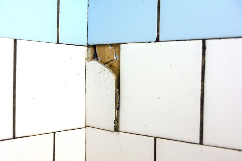 Cracked Tile Repair